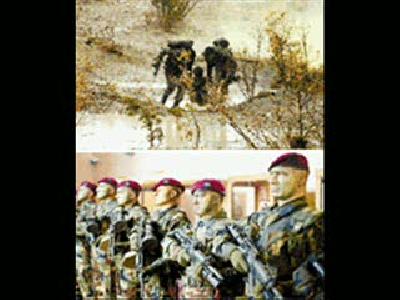 Bordo Bereliler