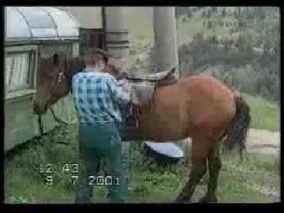 Avrupalı Kovboy