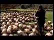video Bisiklet Parkı