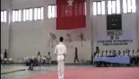 jijutsu, aikido, haldun alagaş, wushu