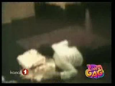 Video Gag Çocular Komedisi